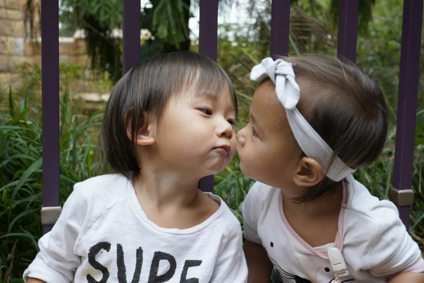 哥哥湯圓一向對妹妹十分包容。