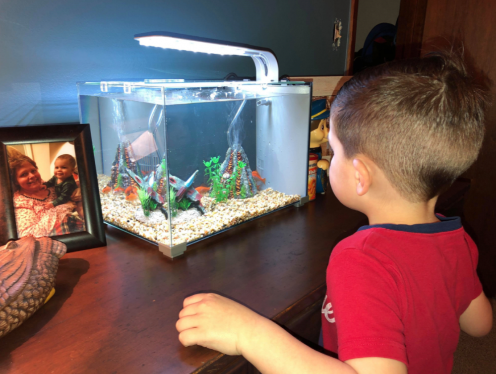 原來孩子因為太喜歡寵物金魚，所以就抱着牠睡了一整晚。