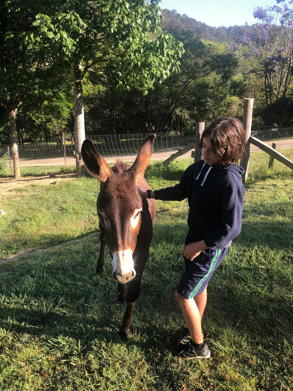 母親希望完成兒子心願，彌補遺憾。