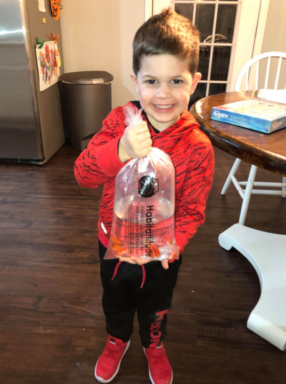 媽媽後來再為兒子買了條新金魚，孩子答應自己會讓金魚留在水箱裏生活。