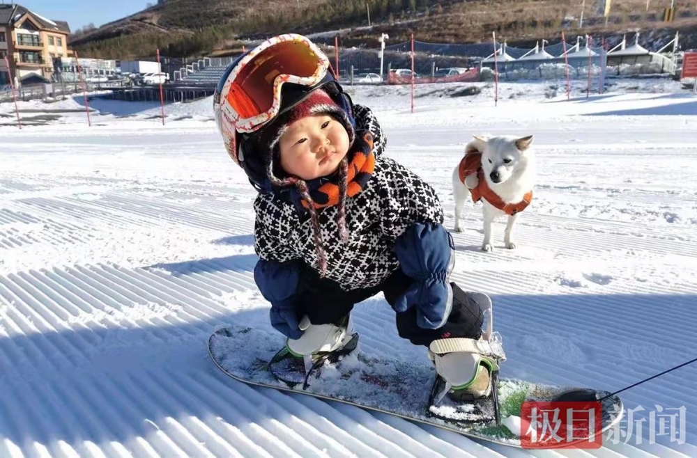貝貝滑雪的模樣實在是太可愛,影片火紅。