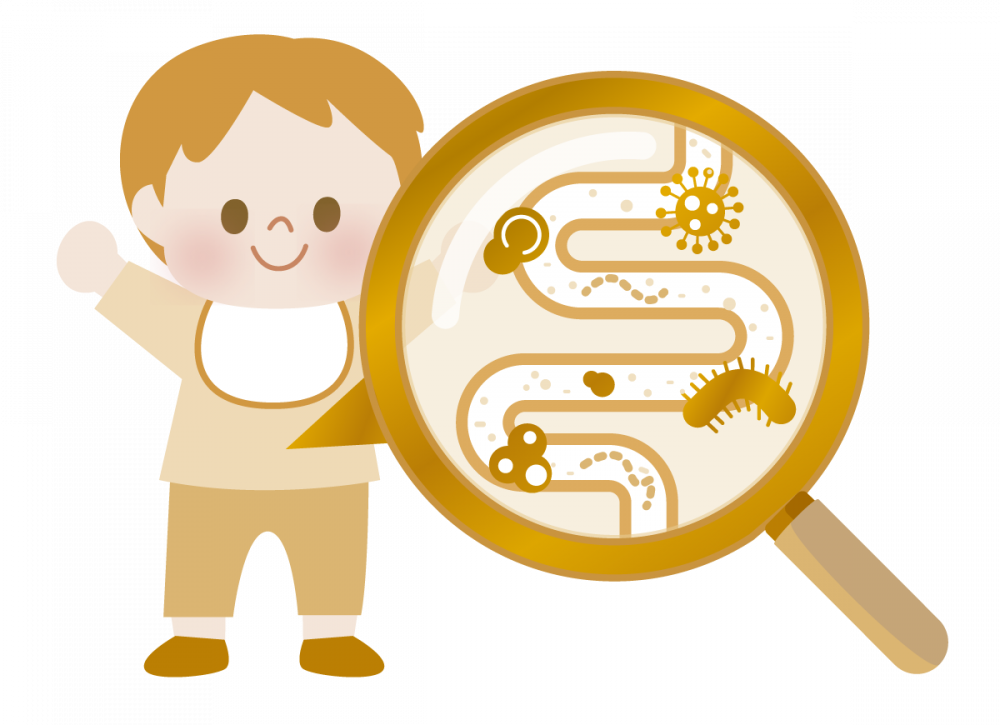 好菌有助支持腸道健康