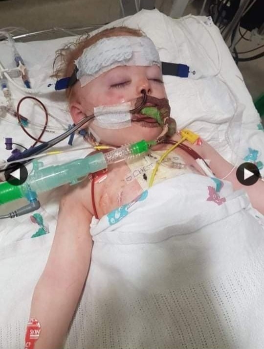 男童最終多個器官損傷，因此父母決定放手，讓孩子離開。