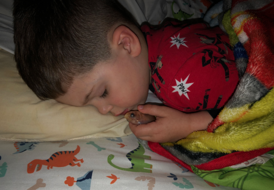 外國一位媽媽有日睡醒發現，屋裏竟隱若有一陣惡臭。