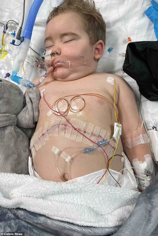 小小身軀承受極大痛楚