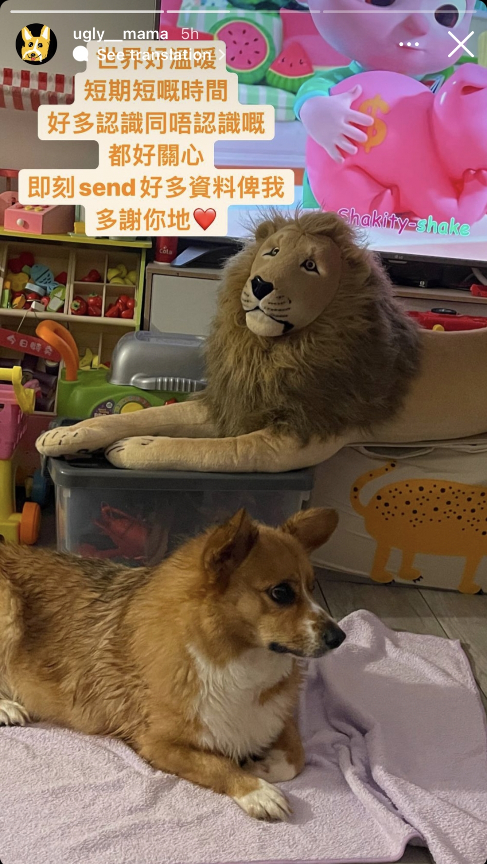 不少網友關心，並提供相關資料。