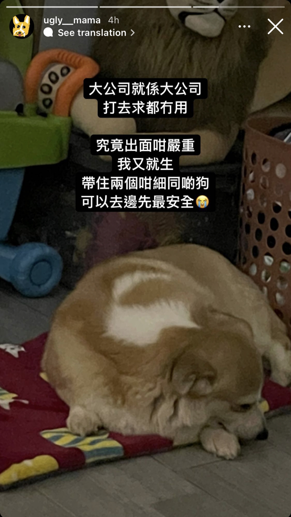 對於疫下被逼遷，雯雯感到無助。