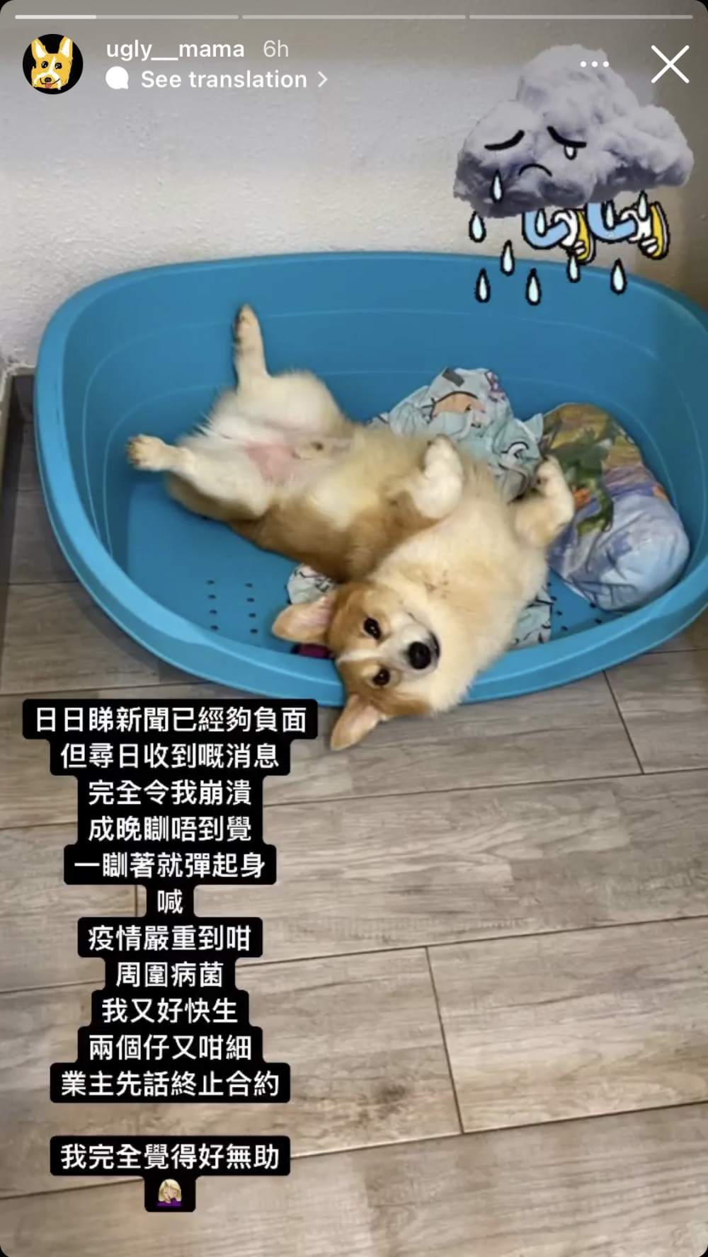 張致恒一家被業主終止合約。