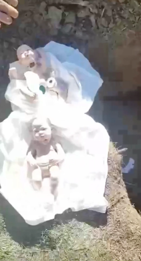 Laura用兩個嬰兒公仔假扮成兩兒。