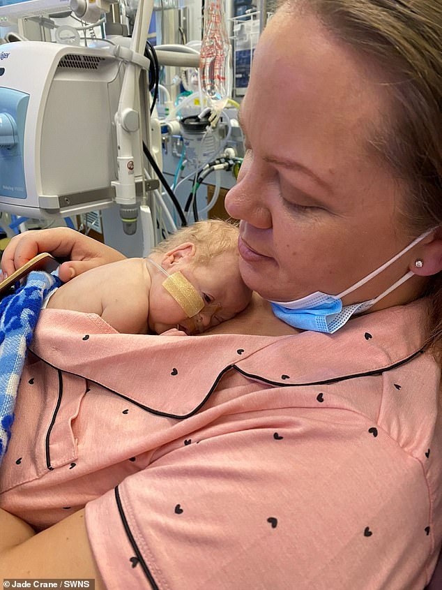 經過140天，龍鳳胎終於能夠出院返家！