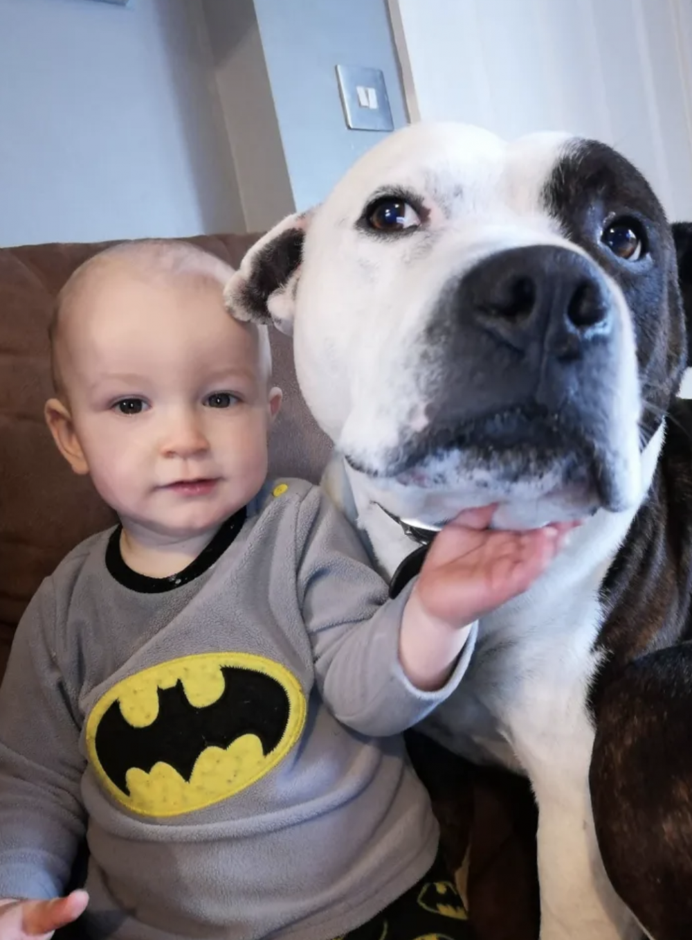 事發時2歲幼子Romy跟其他兄弟姊妹正在玩直升機玩具,而愛犬則躺在梳化上睡覺。