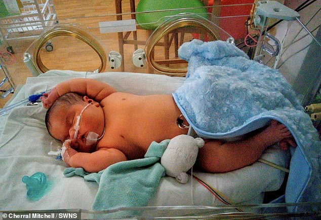 Cherral在看見BB後的第一個念頭,就是「我為他買的衣服肯定穿不下了」。