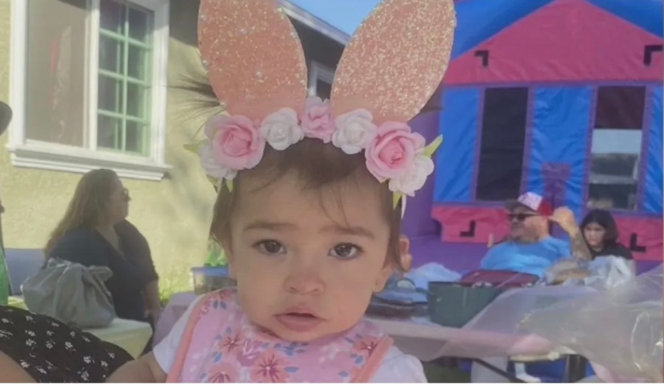 一歲女童Ruby被2只比特犬襲擊,多處受傷及骨折。