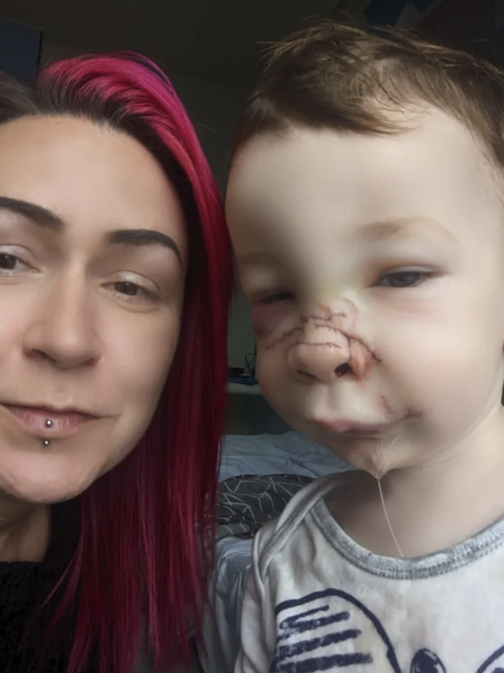 夫妻認為愛犬很可能是被直升機玩具嚇倒,受到刺激的牠才會突然失控。