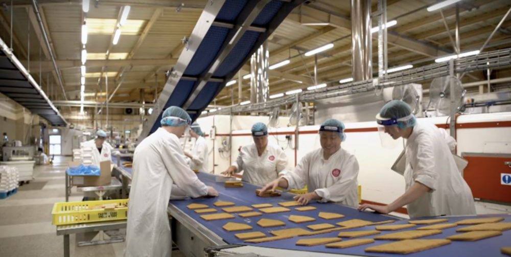 餅廠有不少港人員工都擁有高學歷如碩士學位，有些人甚至曾經是牙醫、前區議員、「狀元」。