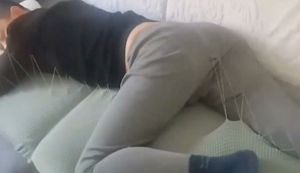 有網民大讚人妻的針指做得好。