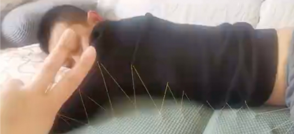 老婆嚴懲周末賴床的丈夫。