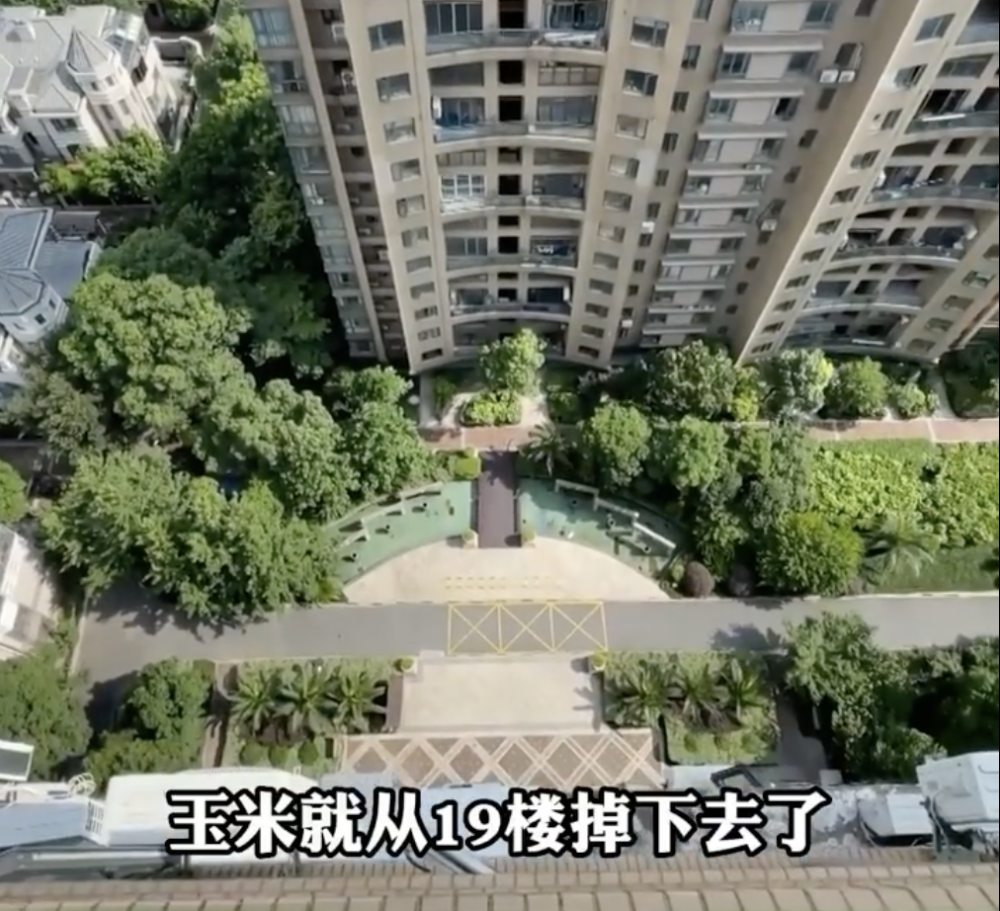 警方發現粟米從19樓被拋下，衝擊力可想而知。