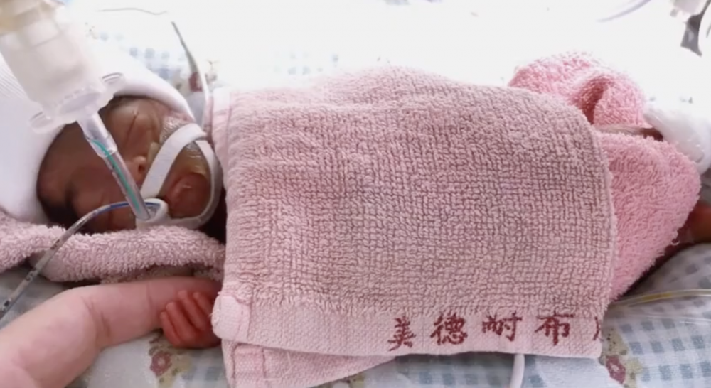 小葶的手掌還沒有大人的指頭一般大。