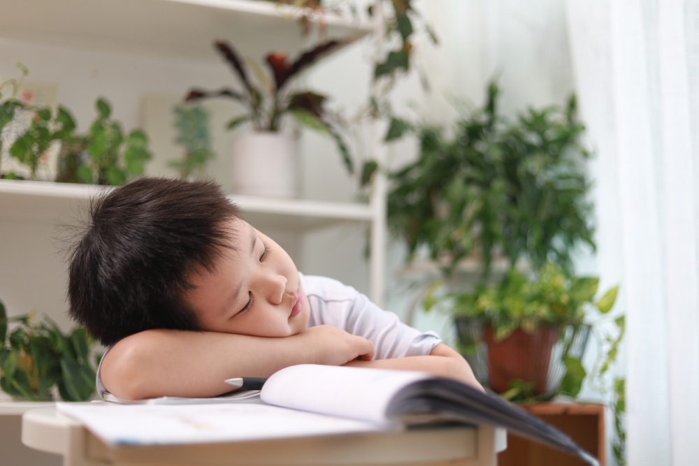 網民為男童感到不值,「主要是已經寫好了,可憐的孩子」。