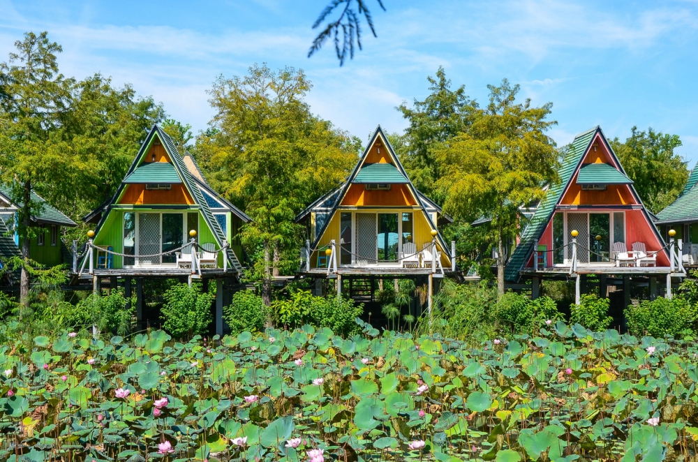 全家入住民宿，小朋友卻發生意外，非常掃興。