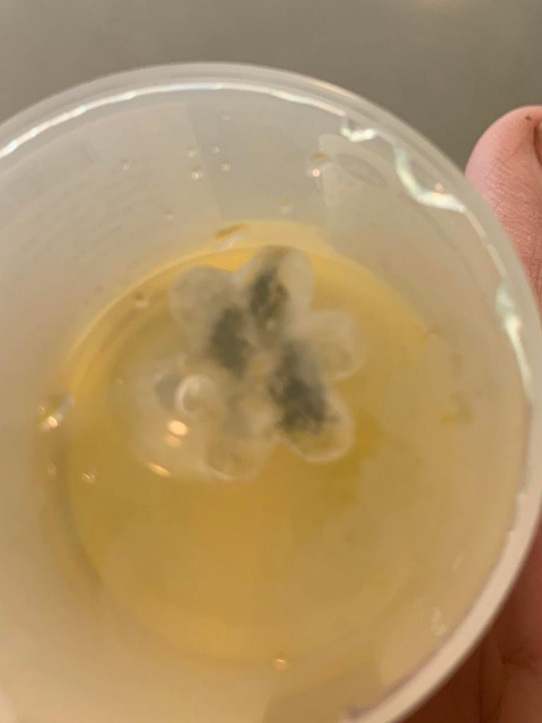 氣管內的塑膠花依舊可看出全貌。