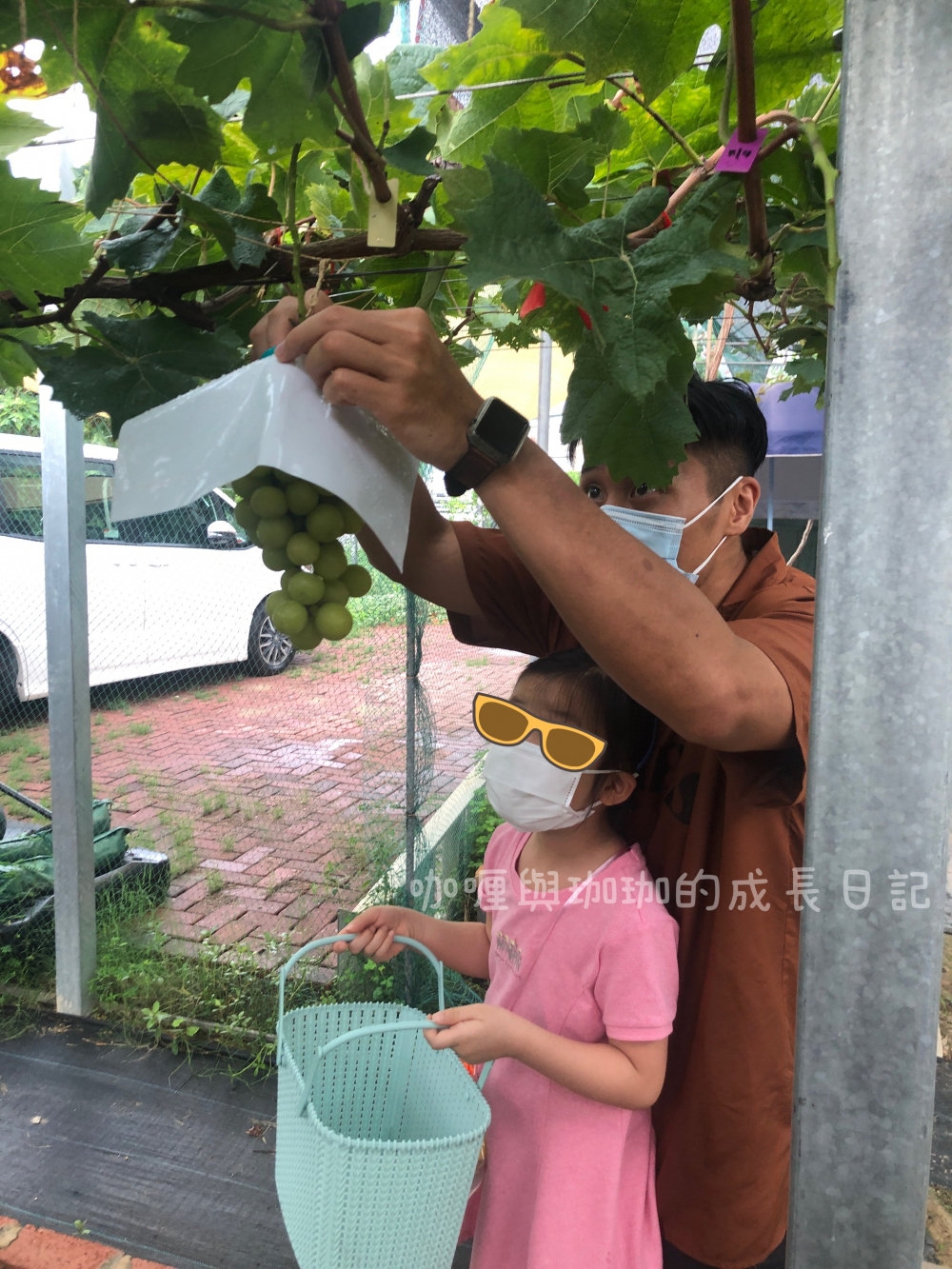 免費入場，即摘即磅即食