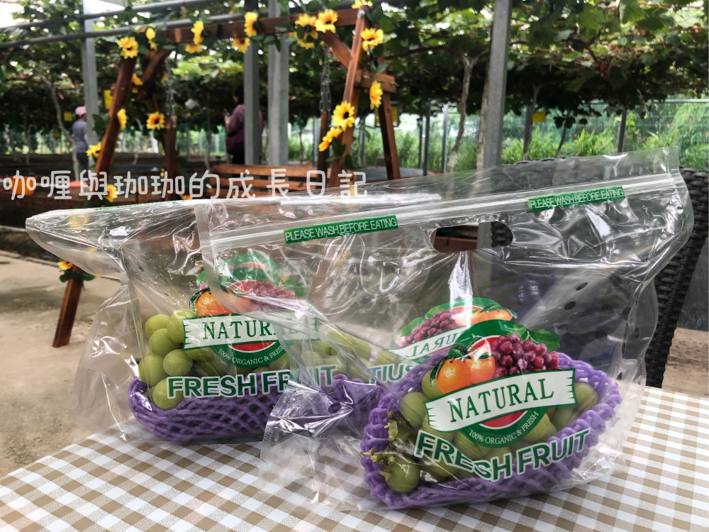 6月至8月係香印提子嘅收成期