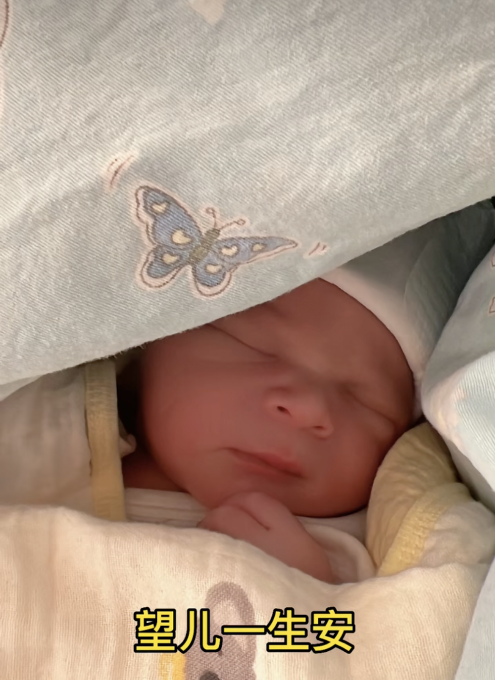 網民讚BB剛出身就能看出是個小帥哥。
