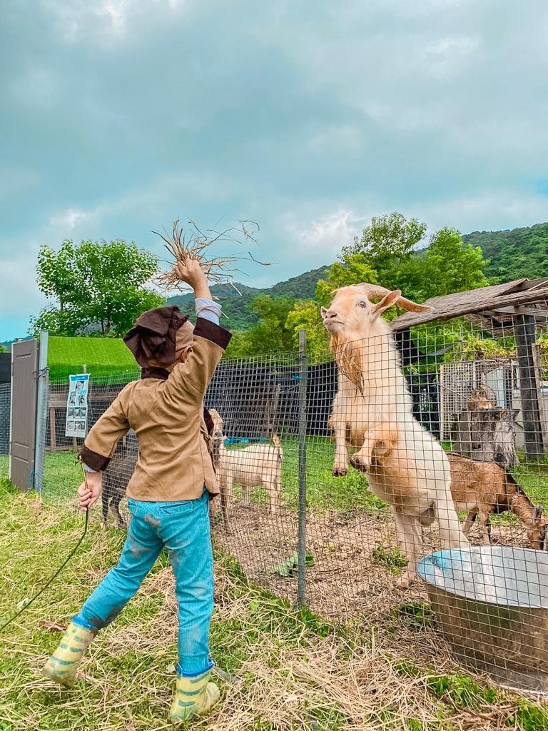 可以親親小動物