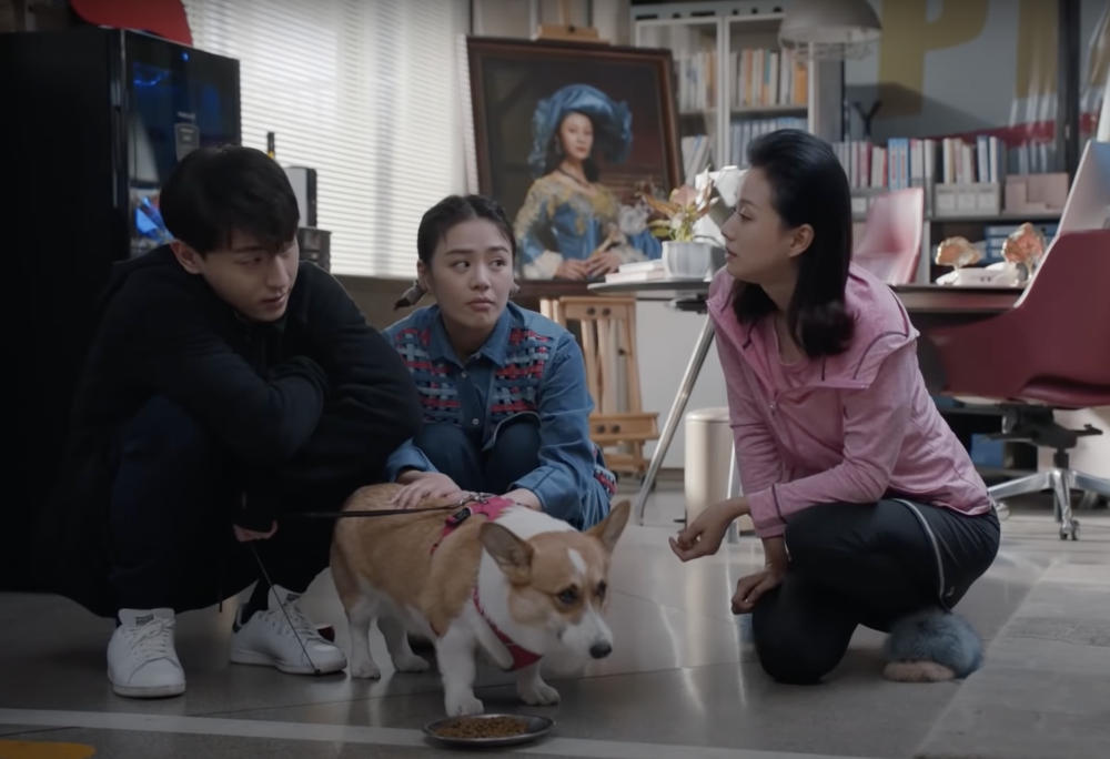 最後法院判決哥基所有權歸徐女士,李先生則有探視權。