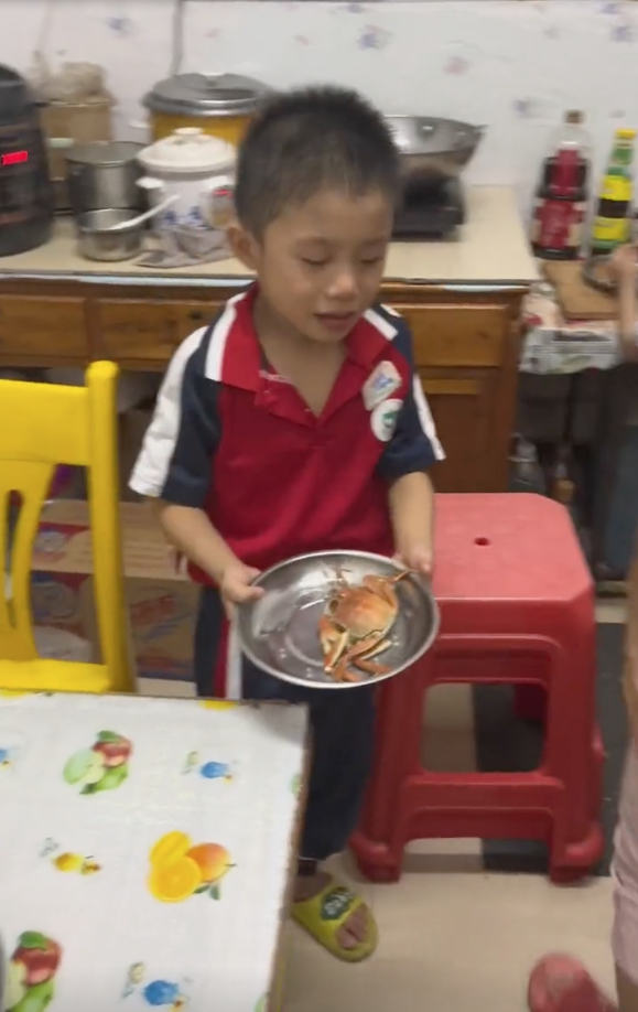 父親擅自煮掉兩兒子的寵物蟹
