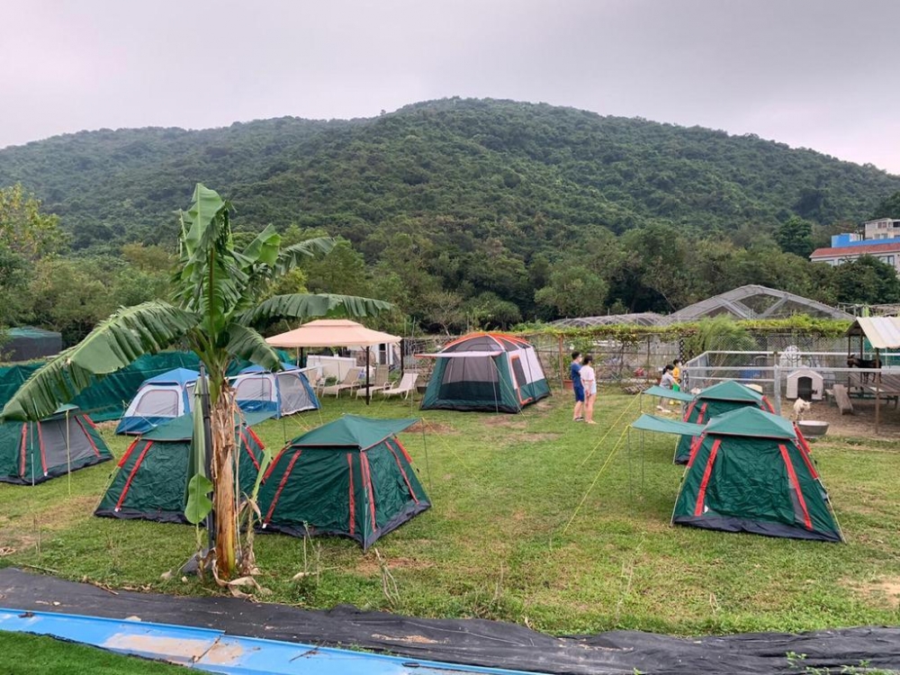 去露營但不用自己帶營具，一個字：爽！