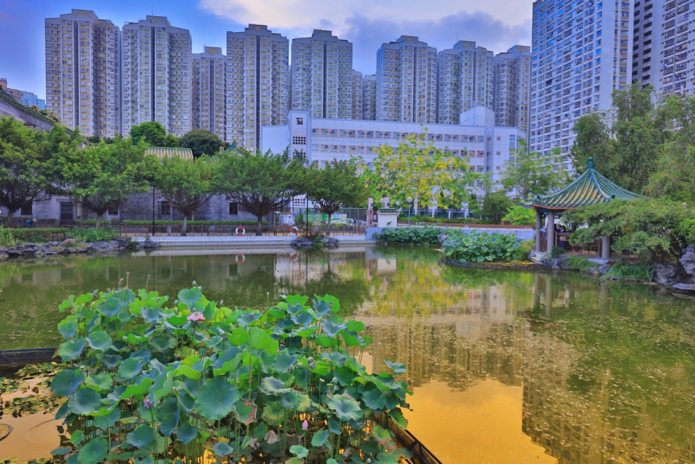 新界有不少年青家庭入住，圖為粉嶺。