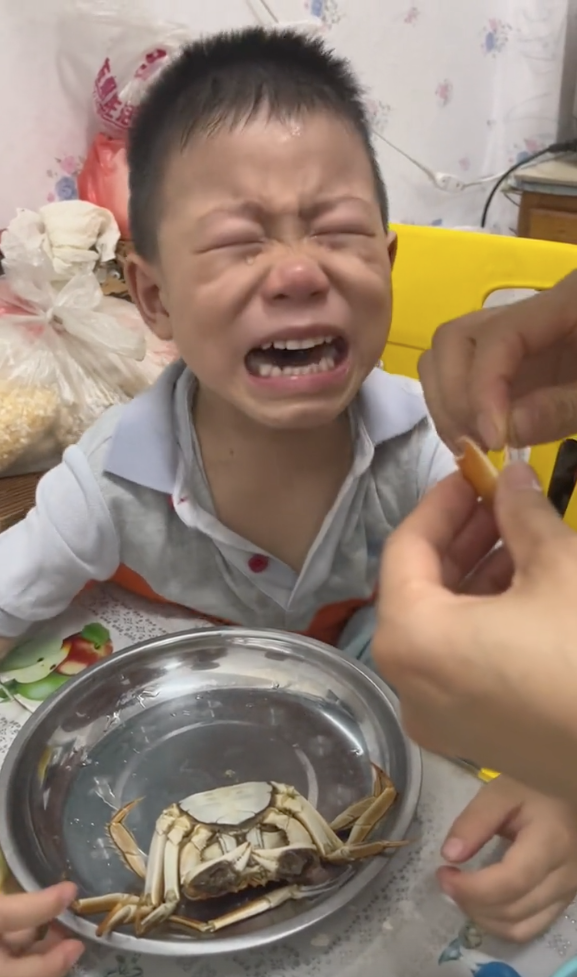 兩名兒子見寵物蟹被煮掉，頓時崩潰大哭