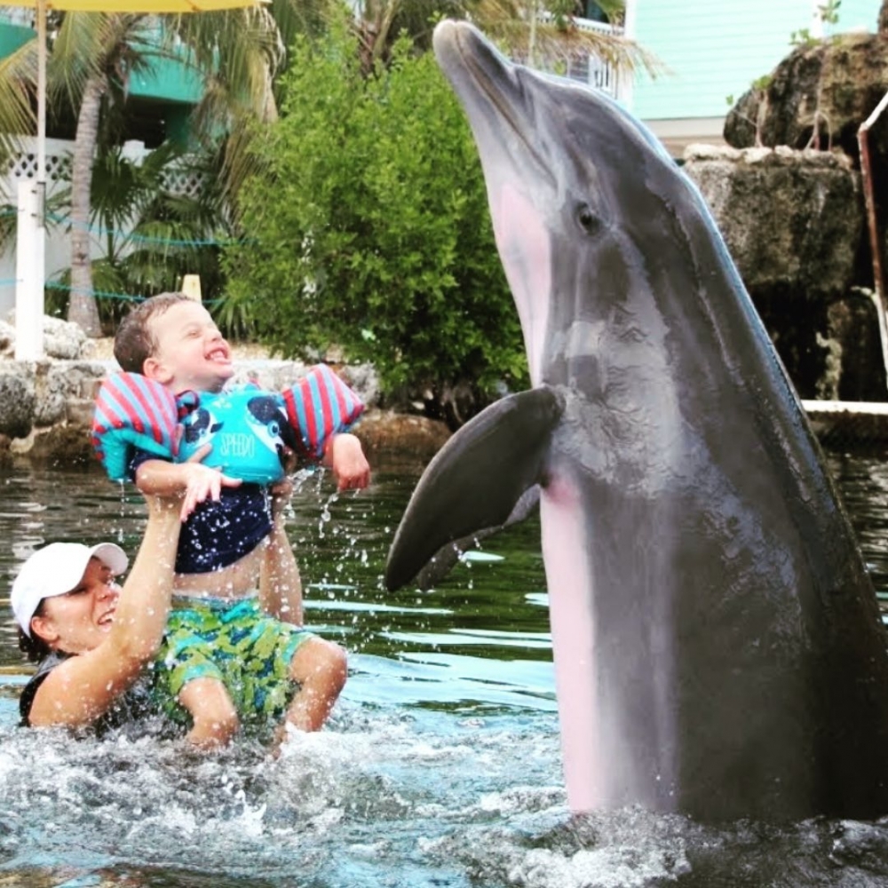 在父母的陪伴下，兒子經歷了許多好玩的事物。