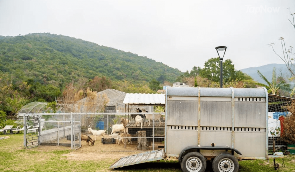 小農莊充滿特色