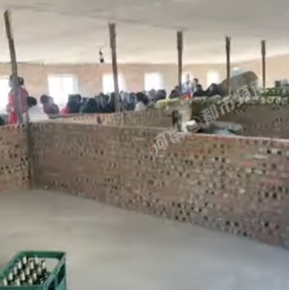 這是一個全新的養豬場