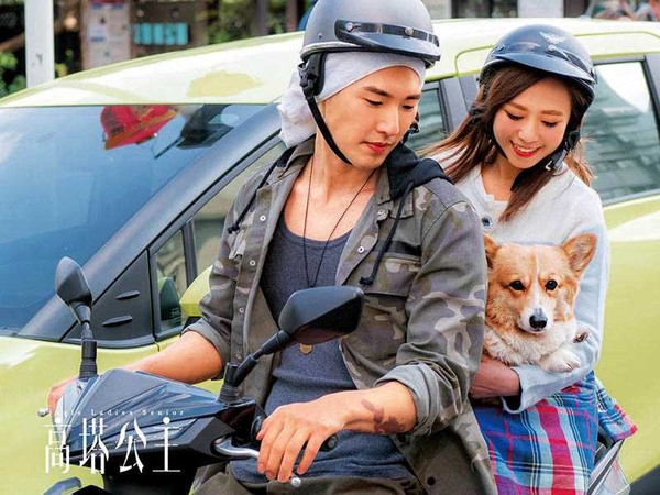 夫妻因為寵物狗哥基的所有權僵持不下,只好申請訴訟離婚。