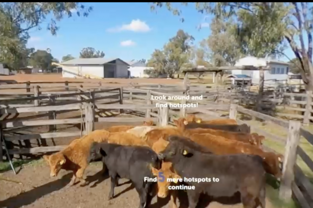 學生需要根據指示完成任務。