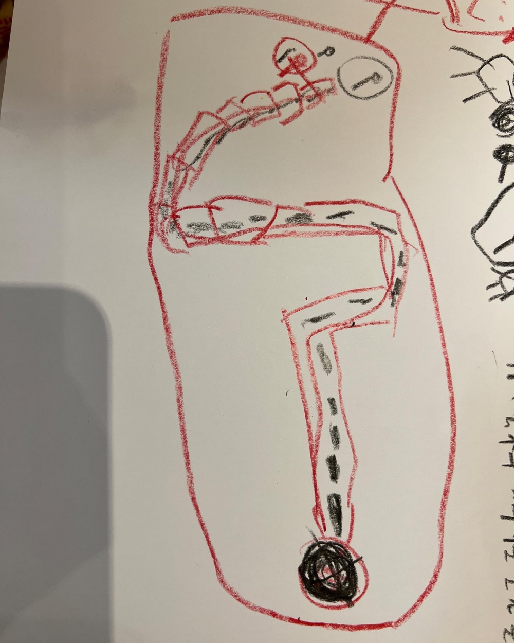 蔡桃貴畫了一張精子游走圖,然後問媽媽二伯,爸爸的精子是如何進去?