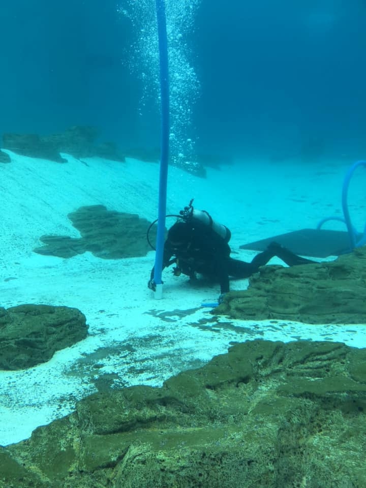 潛水員則是又不能食又不值錢。