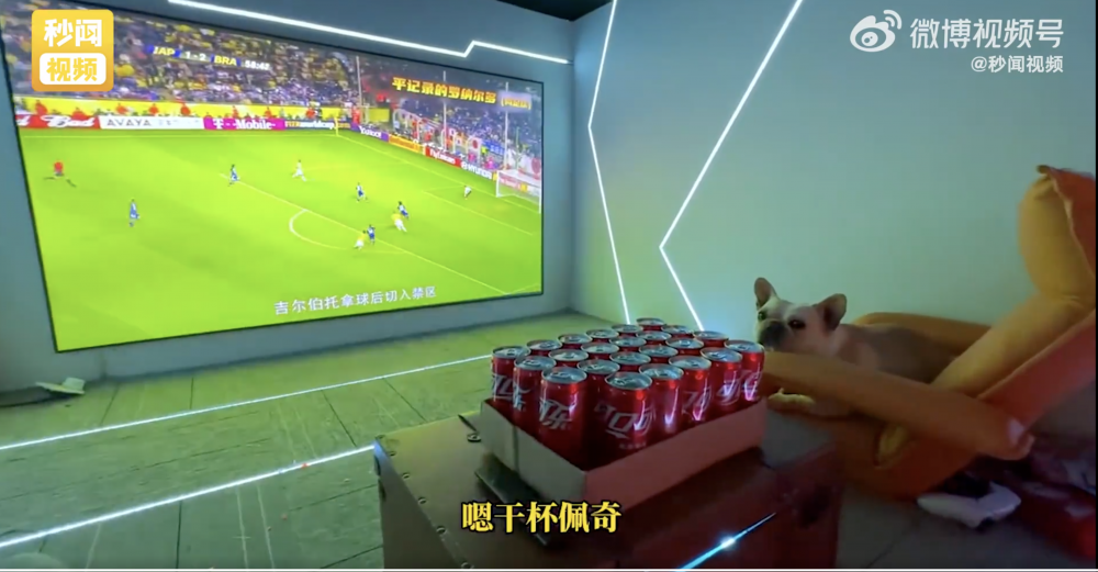 地下室有一個私人影院。