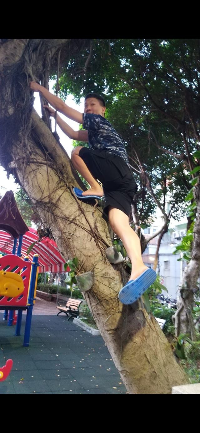 人妻「曝光」老公是如何爬上樹。