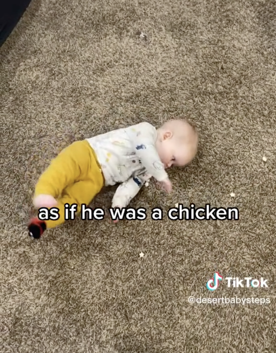 看到媽媽撒下零食後，BB迅速轉身覓食。