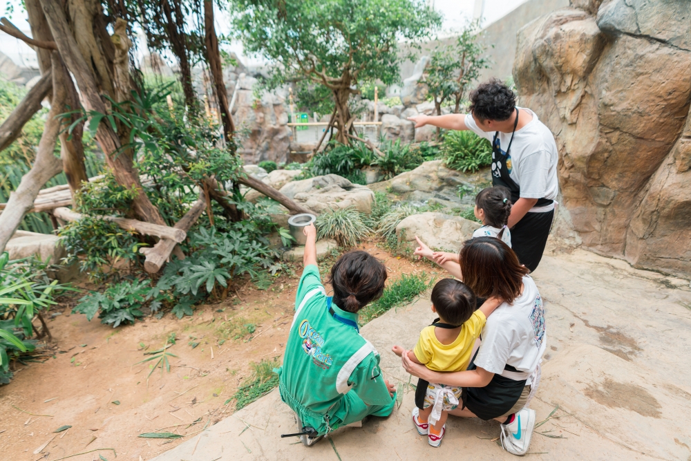 深入認識牠們的生活習性及飲食習慣