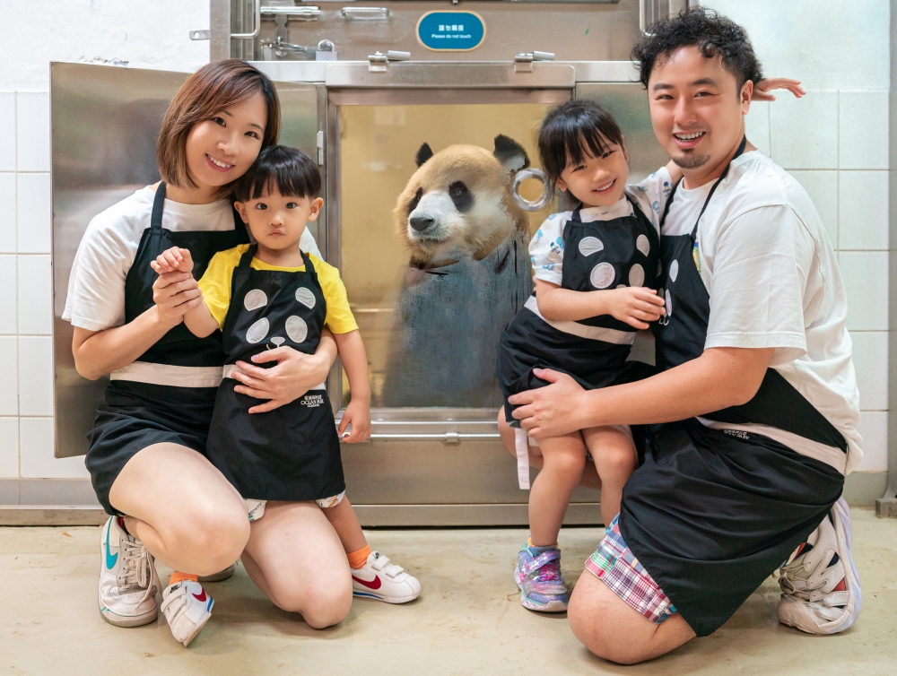 近距離觀察大熊貓