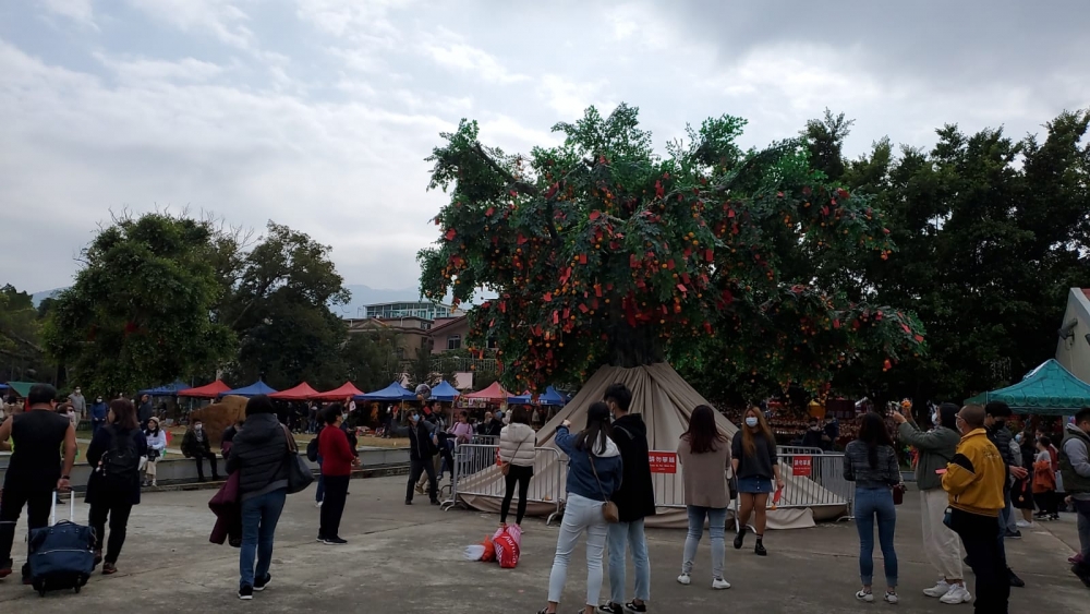 不少人會在新年期間行大運，以往大埔林村是熱點之一。
