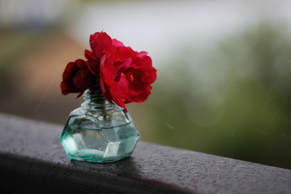 桃花位可放水種真花。