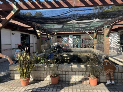 大棠渡假村是學校旅行的熱門地